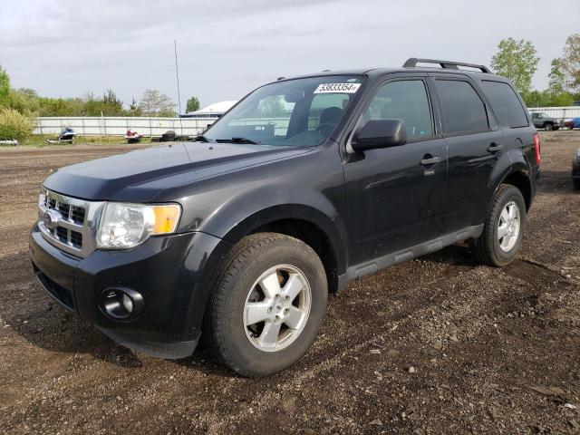 2011 FORD ESCAPE XLT, 