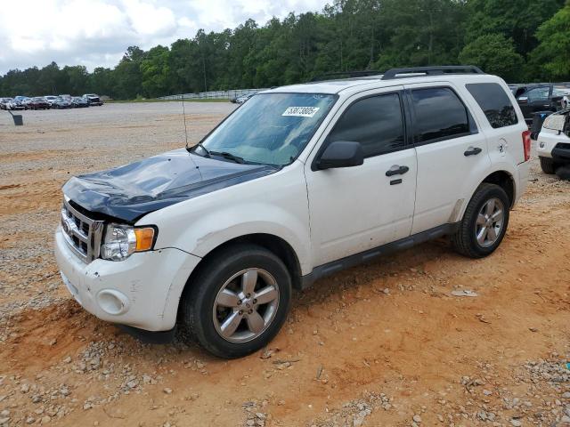 2010 FORD ESCAPE XLT, 