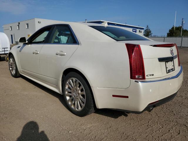 1G6DJ5EG9A0106033 - 2010 CADILLAC CTS PERFORMANCE COLLECTION კრემისფერი ფოტო 2