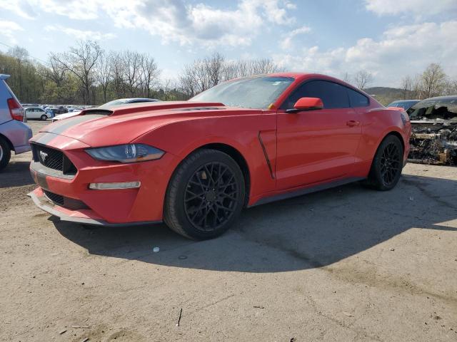 2019 FORD MUSTANG GT, null