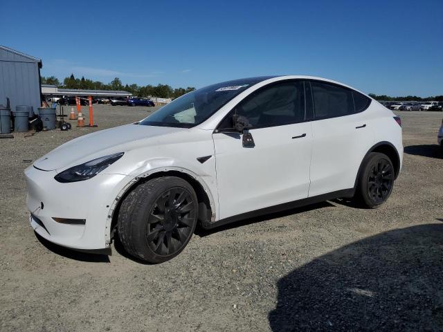 5YJYGDEE0MF088789 - 2021 TESLA MODEL Y WHITE photo 1