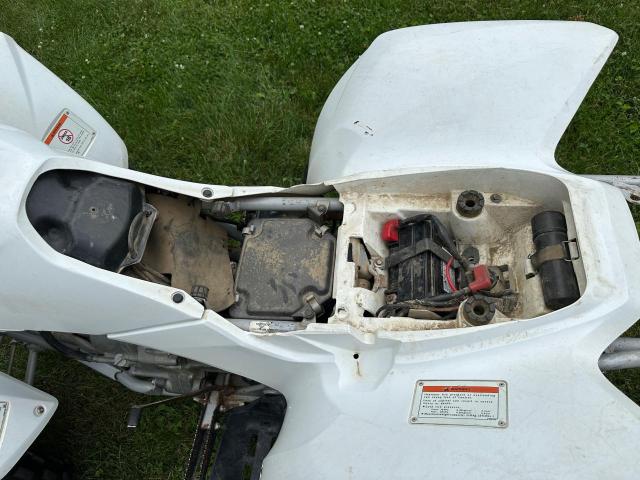 1HFTE270884702061 - 2008 HONDA TRX250 EX WHITE photo 7