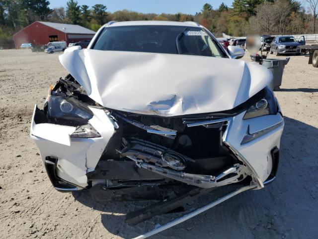 JTJAARBZ7L5005721 - 2020 LEXUS NX 300 BASE თეთრი ფოტო 5