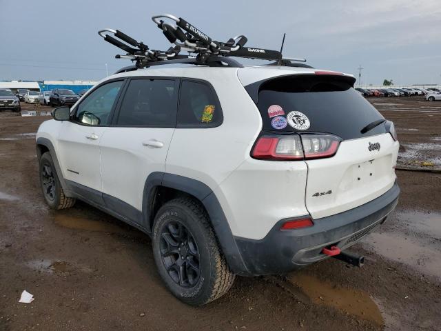 1C4PJMBN3LD540385 - 2020 JEEP CHEROKEE TRAILHAWK WHITE photo 2