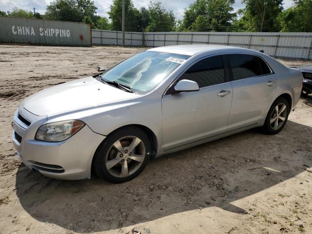 1G1ZC5E17BF145249 - 2011 CHEVROLET MALIBU 1LT 银色 照片 1