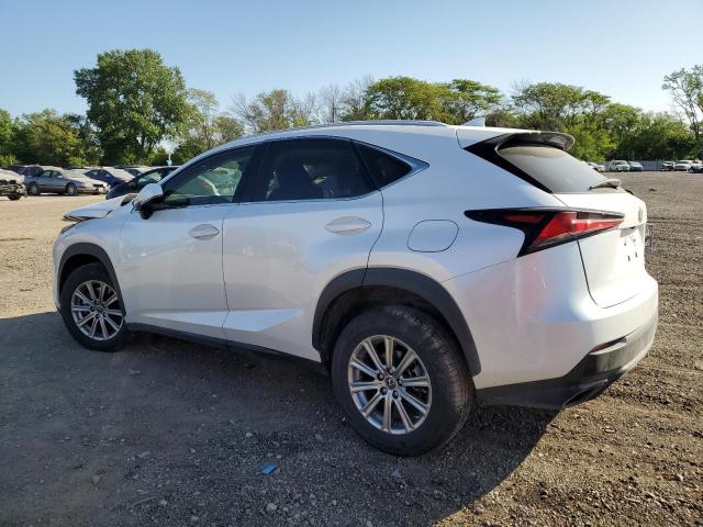 JTJDARDZ8M5022393 - 2021 LEXUS NX 300 BASE WHITE photo 2