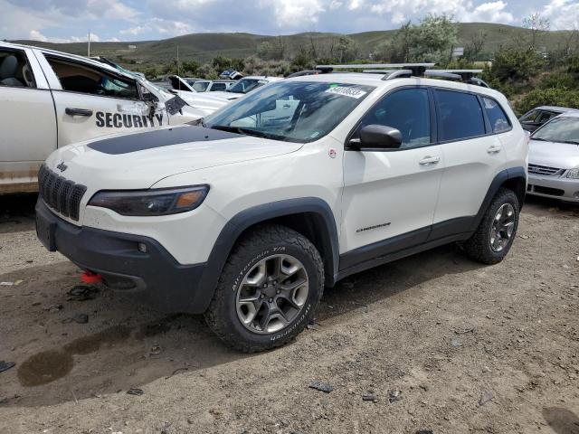 1C4PJMBX6KD313725 - 2019 JEEP CHEROKEE TRAILHAWK WHITE photo 1