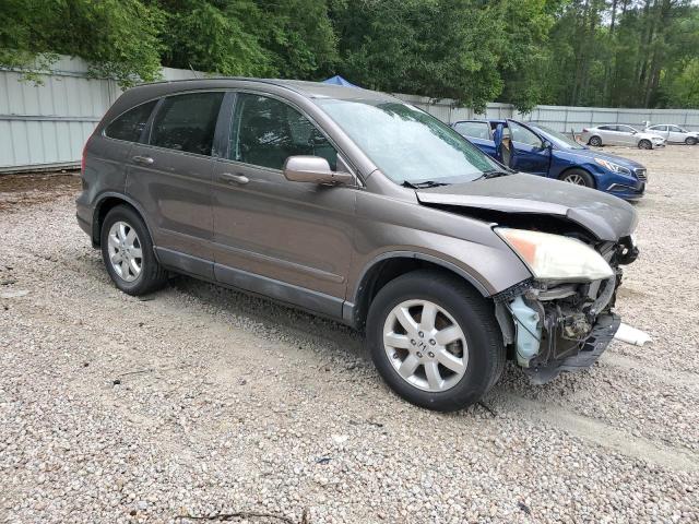 5J6RE48709L045527 - 2009 HONDA CR-V EXL GRAY photo 4