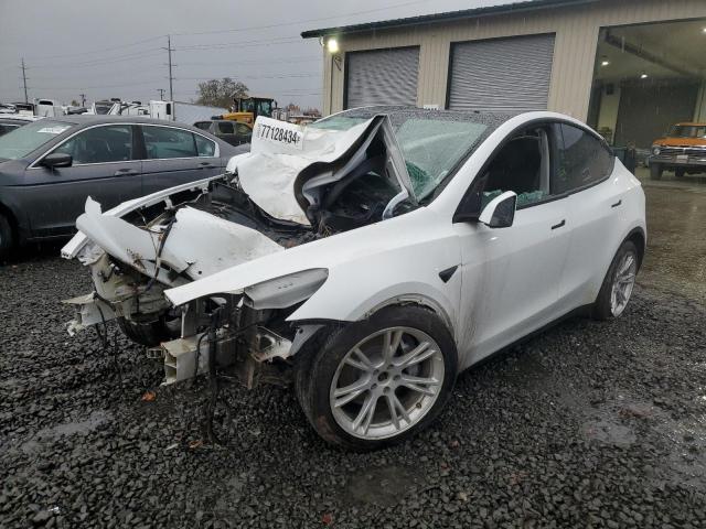 2021 TESLA MODEL Y, null