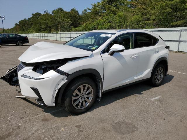 JTJDARDZXM2242362 - 2021 LEXUS NX 300 BASE 白色 照片 1