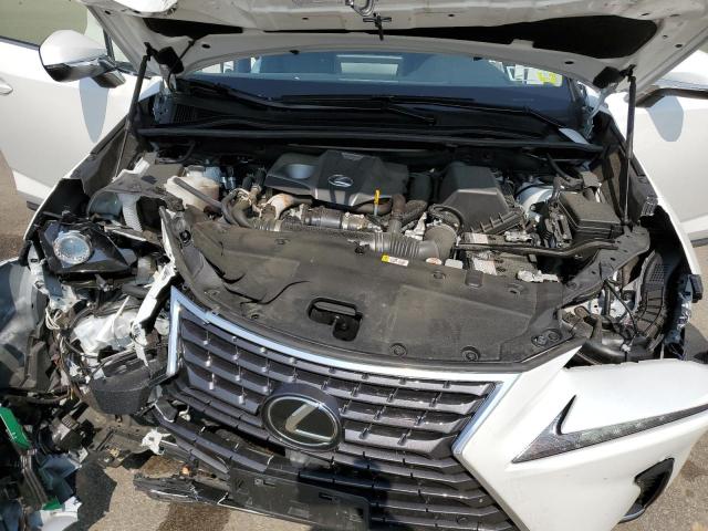 JTJDARDZXM2242362 - 2021 LEXUS NX 300 BASE 白色 照片 12