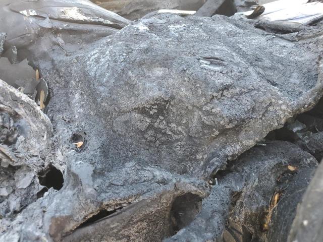 ZFBERFAT7G6C74042 - 2016 RAM PROMASTER 白色 照片 9