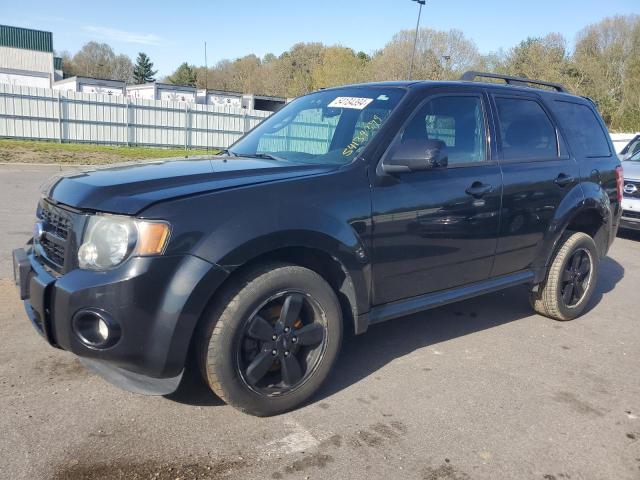 2011 FORD ESCAPE XLT, 