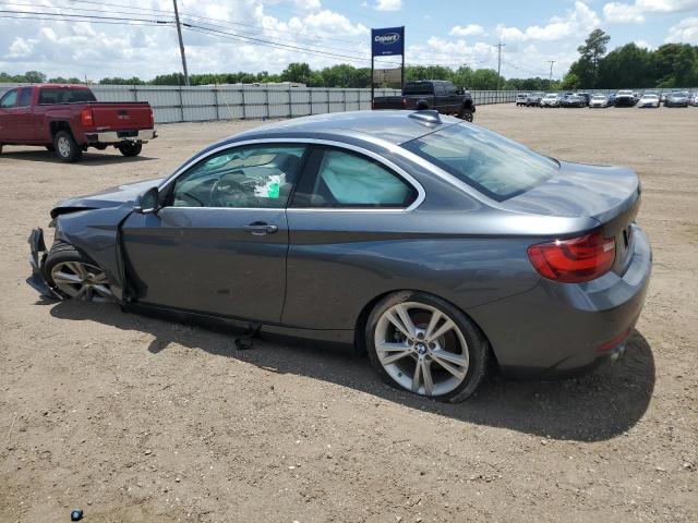 WBA1F5C51FV256969 - 2015 BMW 228 I GRAY photo 2