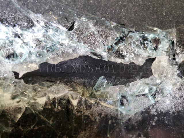 LRBFXCSA0LD214091 - 2020 BUICK ENVISION ESSENCE Սպիտակ լուսանկար 13