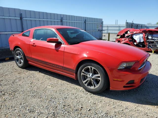 1ZVBP8AM8E5292637 - 2014 FORD MUSTANG RED photo 4