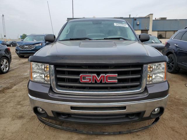 1GTPCTEXXAZ293187 - 2010 GMC SIERRA C1500 GRAY photo 5