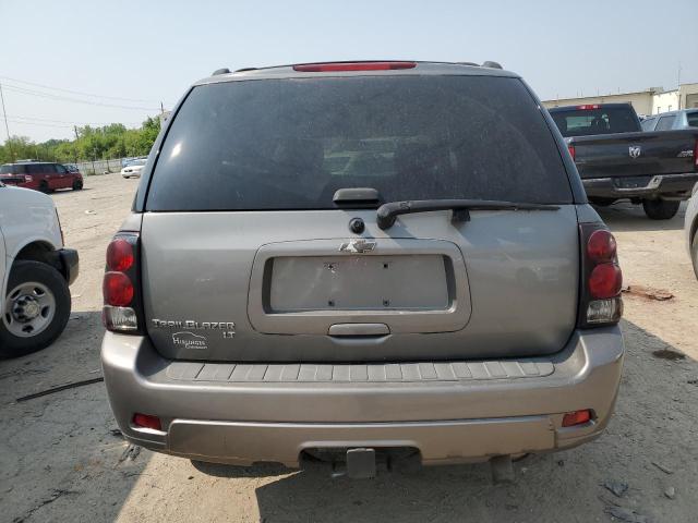 1GNDT13S382163700 - 2008 CHEVROLET TRAILBLAZE LS GRAY photo 6