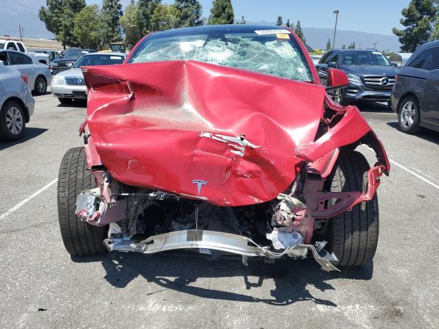 7SAYGDEE2PF946576 - 2023 TESLA MODEL Y Czerwony zdjęcie 5
