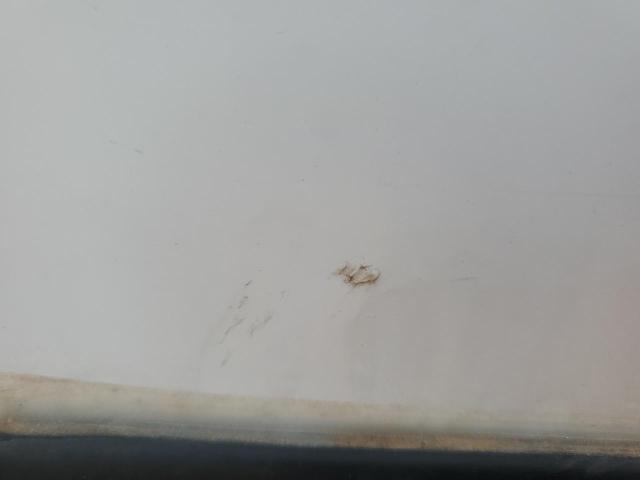 4YDFAVU25PE760015 - 2023 KEYSTONE AVALANCHE თეთრი ფოტო 9