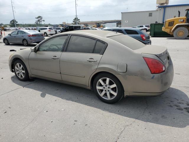 1N4BA41E46C835023 - 2006 NISSAN MAXIMA SE GOLD photo 2