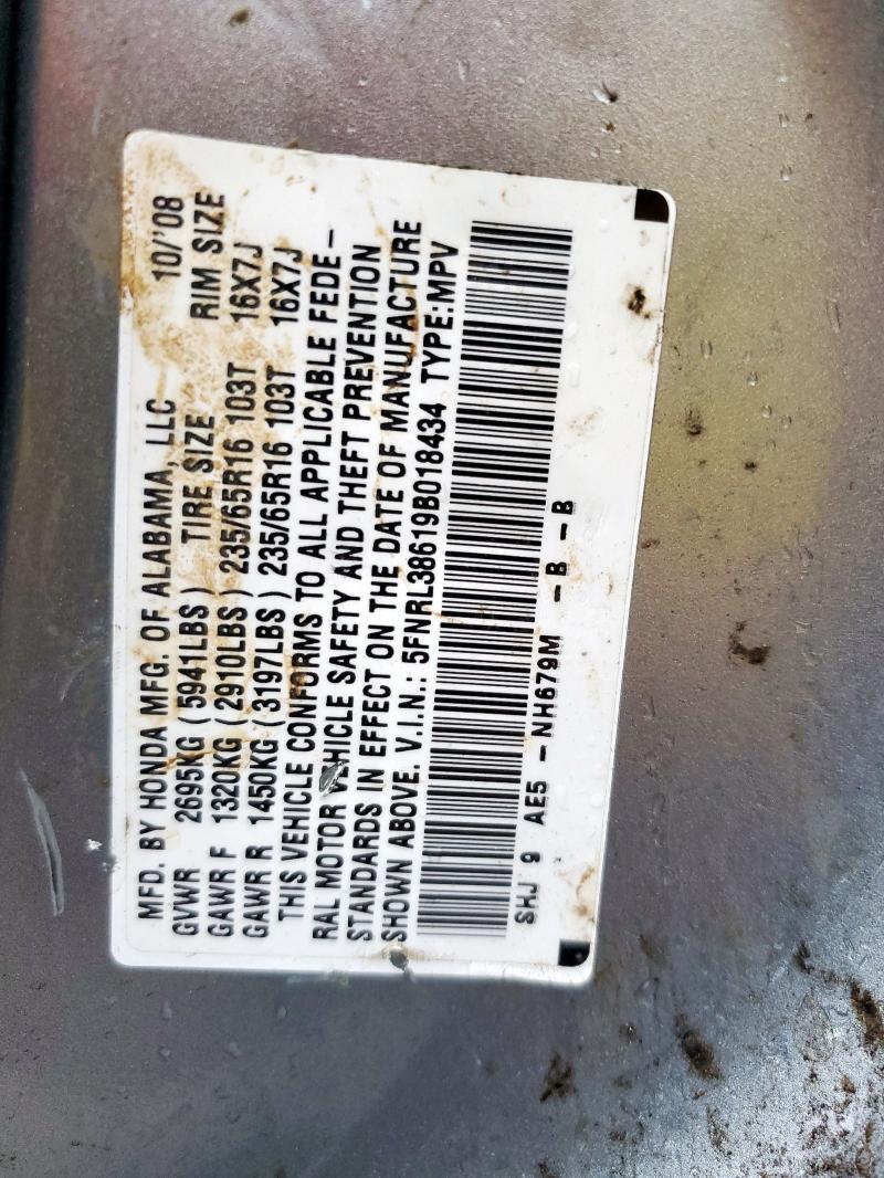 5FNRL38619B018434 - 2009 HONDA ODYSSEY EXL ვერცხლისფერი ფოტო 13