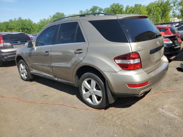 4JGBB8GB9AA599545 - 2010 MERCEDES-BENZ ML 350 4MATIC TAN photo 2