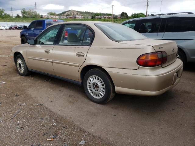 1G1ND52F64M510496 - 2004 CHEVROLET MALIBU GOLD photo 2