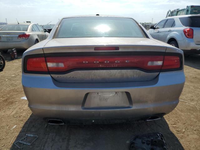 2C3CDXBG9EH339495 - 2014 DODGE CHARGER SE SILVER photo 6