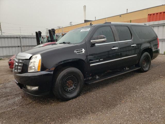 1GYUKJEF4AR205990 - 2010 CADILLAC ESCALADE ESV PREMIUM BLACK photo 1