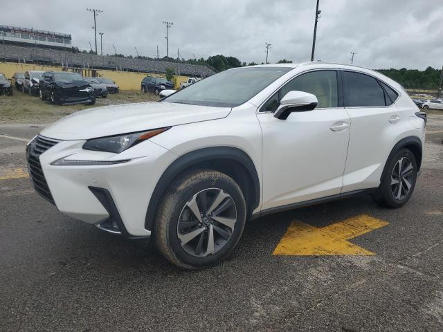 JTJYARBZ8K2143363 - 2019 LEXUS NX 300 BASE Ağ foto 1