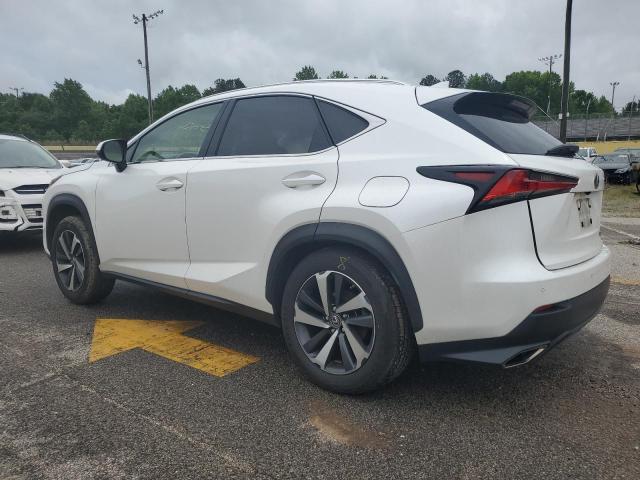JTJYARBZ8K2143363 - 2019 LEXUS NX 300 BASE Ağ foto 2