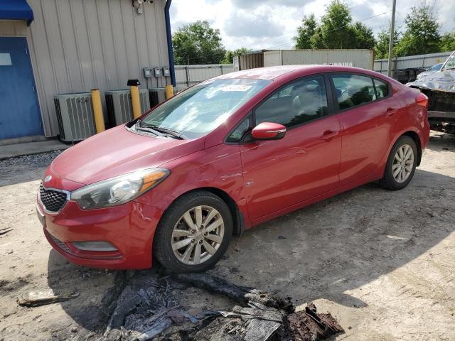 KNAFX4A67E5217231 - 2014 KIA FORTE LX RED photo 1