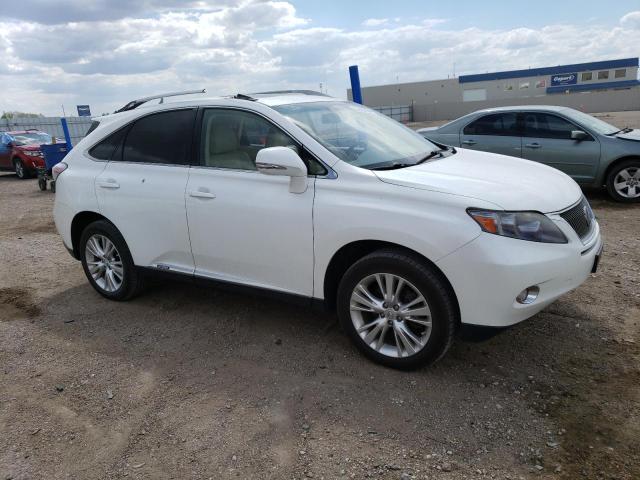 JTJBC1BA8A2407790 - 2010 LEXUS RX 450 WHITE photo 4