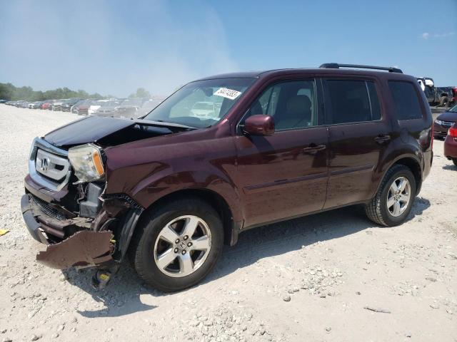 5FNYF4H56BB017124 - 2011 HONDA PILOT EXL BURGUNDY photo 1