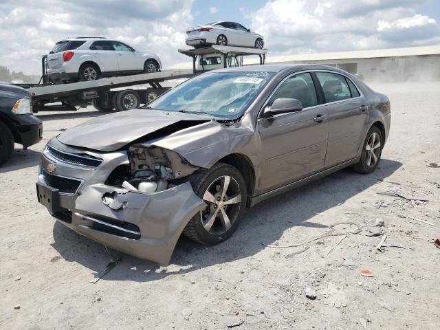 1G1ZC5E12BF113261 - 2011 CHEVROLET MALIBU 1LT 棕色 照片 1