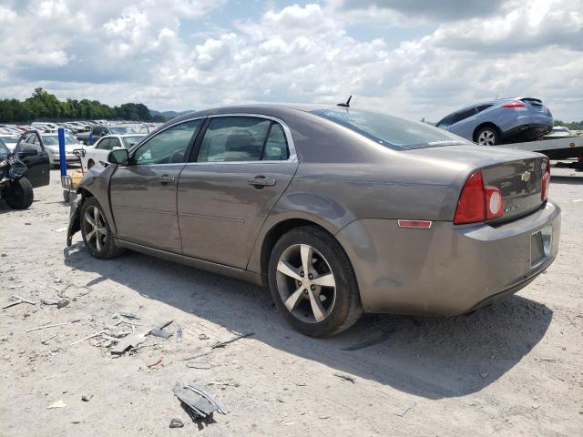 1G1ZC5E12BF113261 - 2011 CHEVROLET MALIBU 1LT 棕色 照片 2