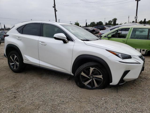 JTJBJRBZ7K2097224 - 2019 LEXUS NX 300H WHITE photo 4