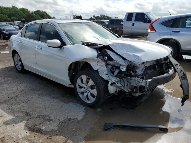 1HGCP36848A069529 - 2008 HONDA ACCORD EXL WHITE photo 4