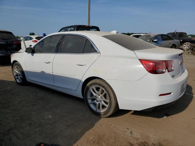 1G11C5SA1DF290033 - 2013 CHEVROLET MALIBU 1LT 白色 照片 2