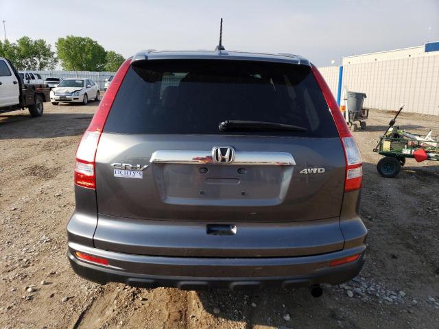 JHLRE4H79AC002558 - 2010 HONDA CR-V EXL GRAY photo 6