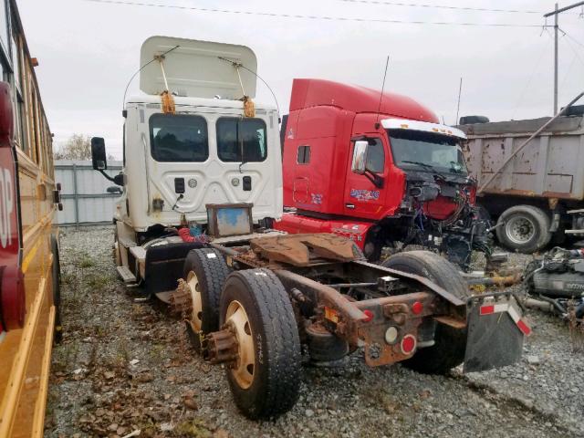 1FUJGEDV5CLBH4434 - 2012 FREIGHTLINER CASCADIA 125  photo 3