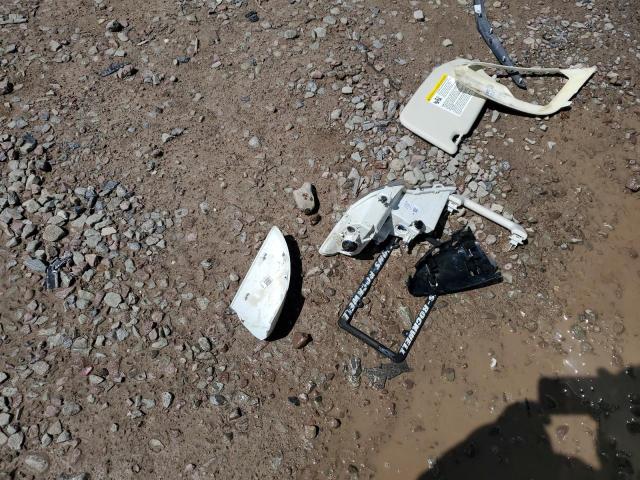 MAJ6S3GL2LC356335 - 2020 FORD ECOSPORT SE თეთრი ფოტო 13