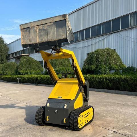 2025 OTHER SKID STEER, null