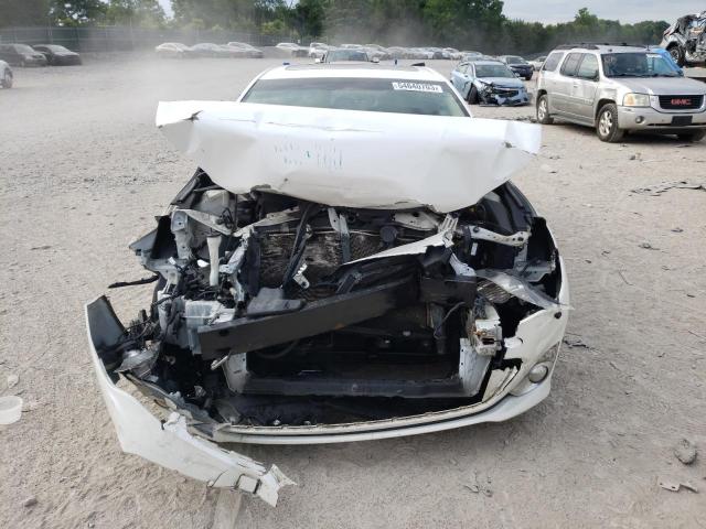 4T1BK1EB0EU092984 - 2014 TOYOTA AVALON BASE 白色 照片 5