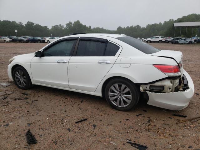 1HGCP3F80BA031397 - 2011 HONDA ACCORD EXL WHITE photo 2