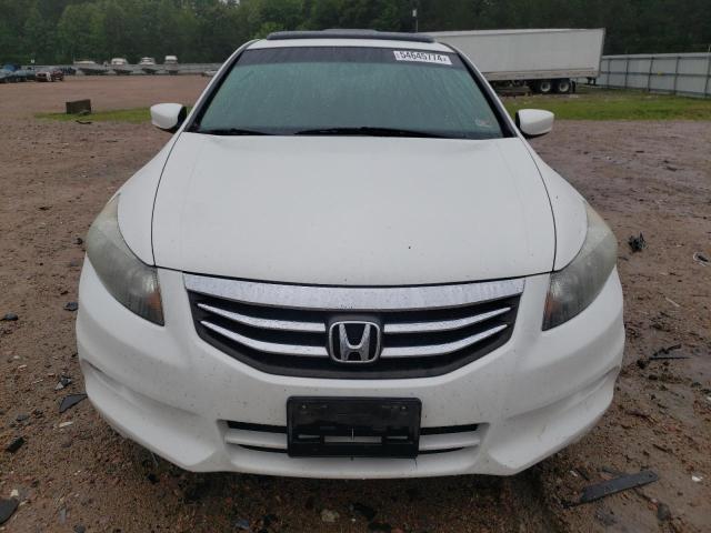 1HGCP3F80BA031397 - 2011 HONDA ACCORD EXL WHITE photo 5