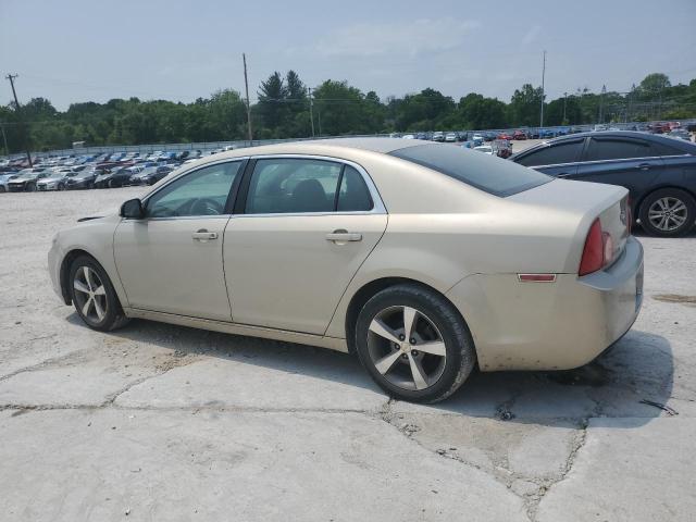 1G1ZC5EU7BF160313 - 2011 CHEVROLET MALIBU 1LT CREAM photo 2