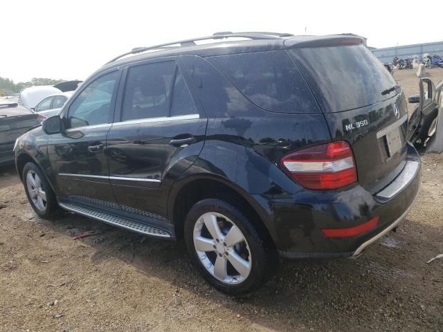 4JGBB8GB1AA603443 - 2010 MERCEDES-BENZ ML 350 4MATIC BLACK photo 2