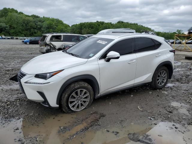JTJBARBZ0J2166172 - 2018 LEXUS NX 300 BASE Ağ foto 1